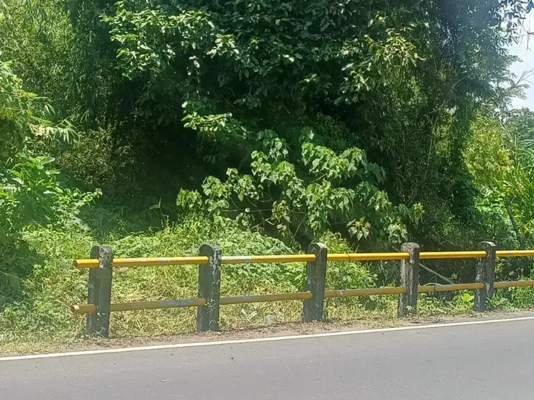 Di Jual Tanah View Sawah - Sempol, Pererenan - Image 1 of 6