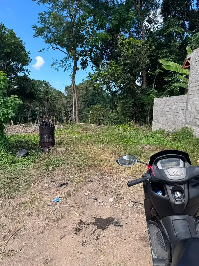 20 mnit to Canggu Pererenan - Image 3 of 7