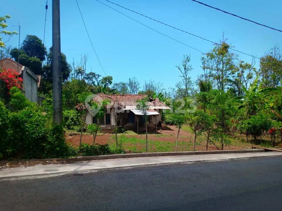 Dijual Tanah Perkebunan Kopi 4,5 HA Di Buleleng Bali Ada Mata Air - Image 1 of 4