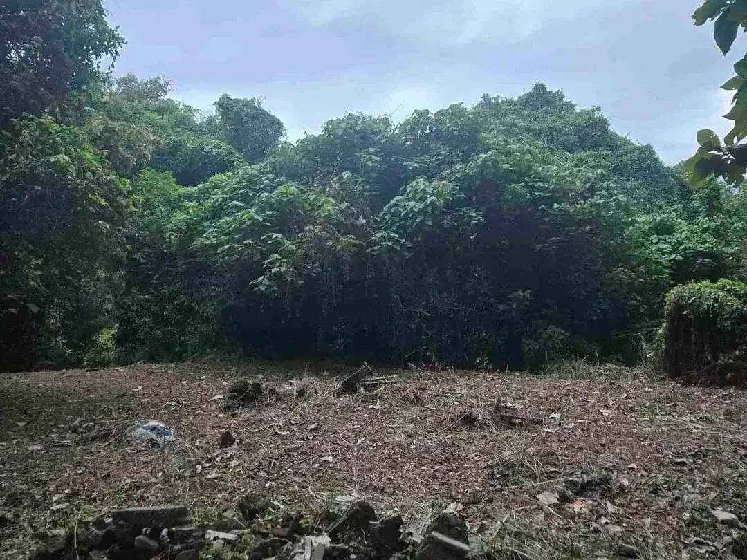 Dijual Tanah 3,6 Are View Sungai dan perkebunan cocok Usaha Villa - Image 5 of 5