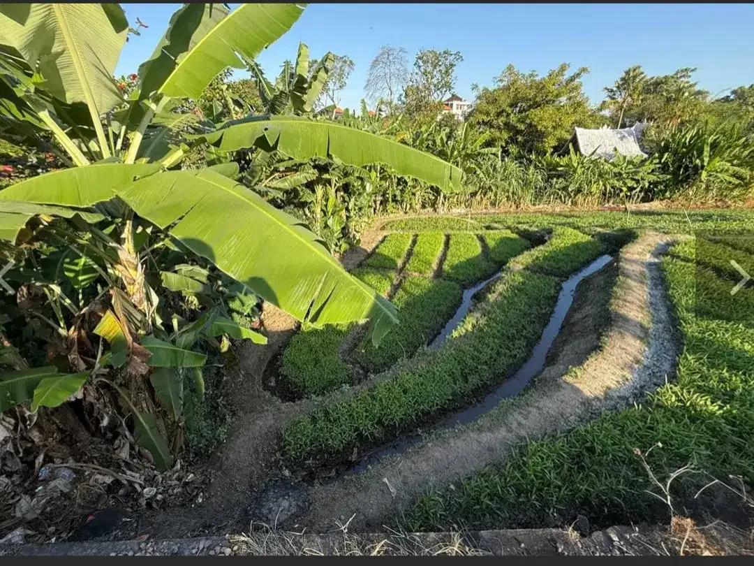 Leasehold - Rare Riverside Leasehold Land in Padonan, Canggu Area - Image 1 of 7