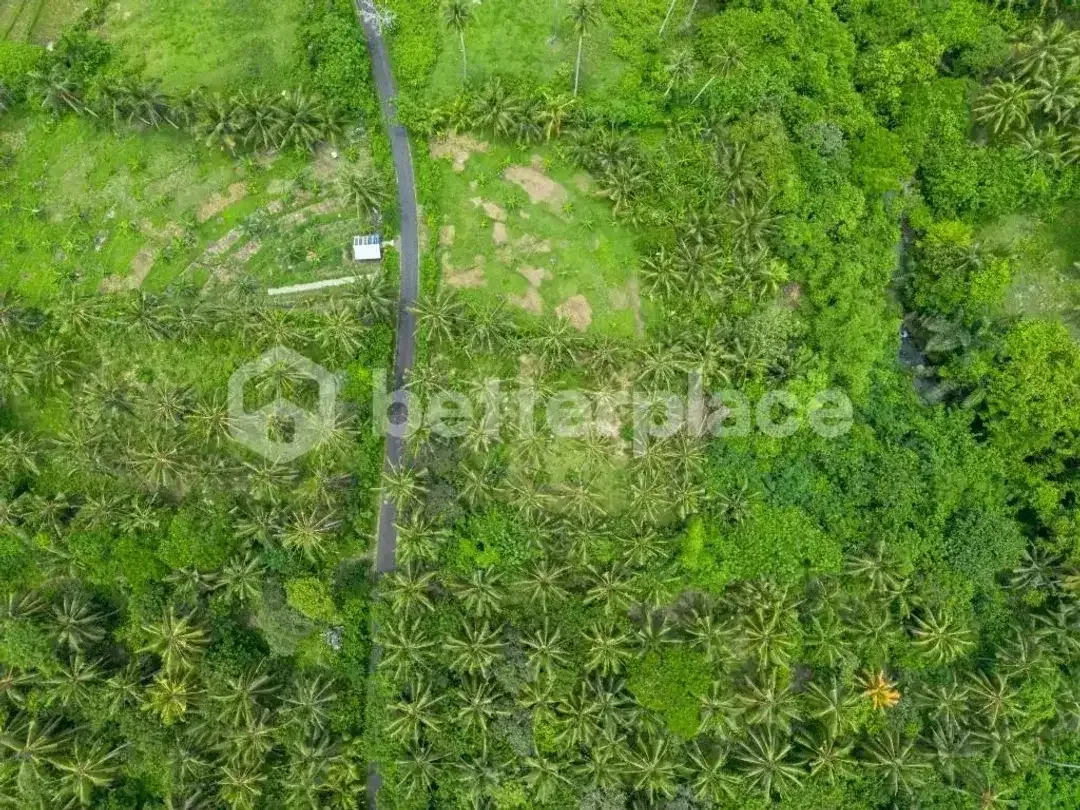 Prestigious 23.9 are Freehold Jungle Land in Balian – A Rare Investment Opportunity Blending Natural Serenity with Coastal Elegance - Image 2 of 10