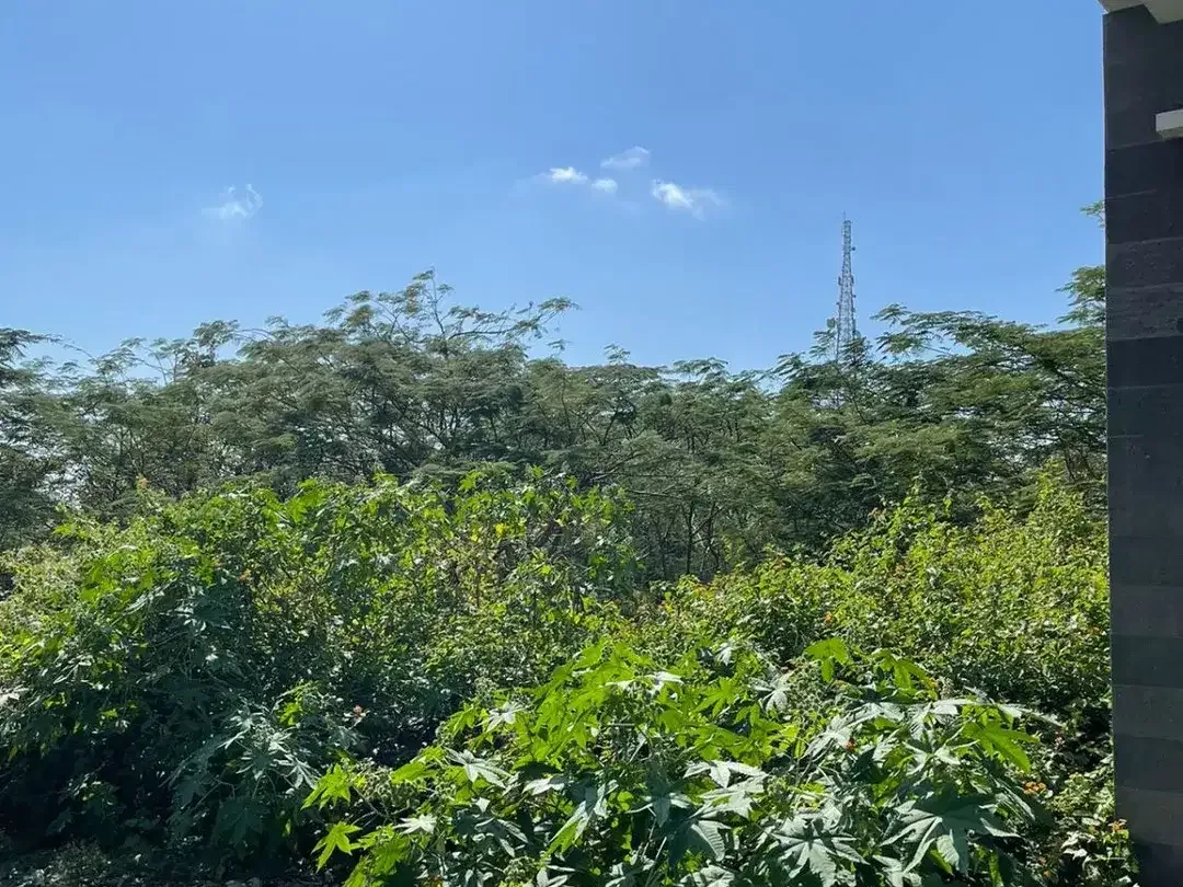 Dijual Tanah 14,65 Are di Jalan Utama Raya Kampial, Nusa Dua - Image 7 of 8