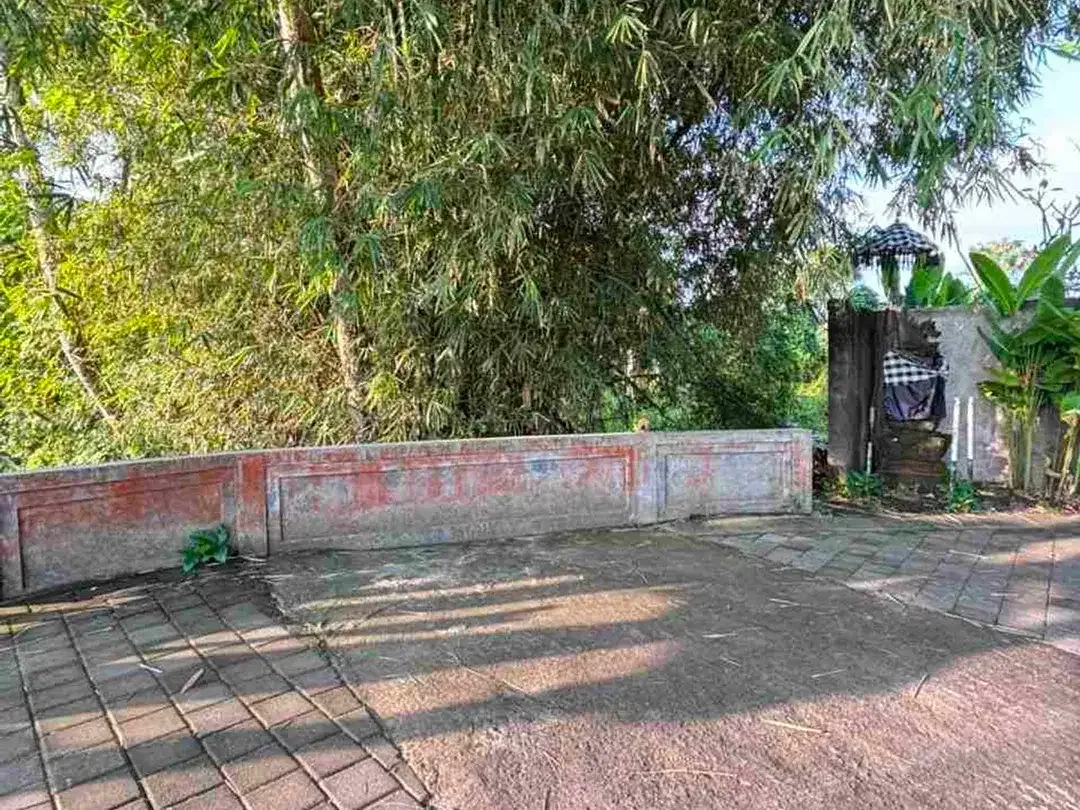 di jual tanah bagus dekat Ubud cocok untuk di kaplvling atau komplek villa - Image 3 of 8