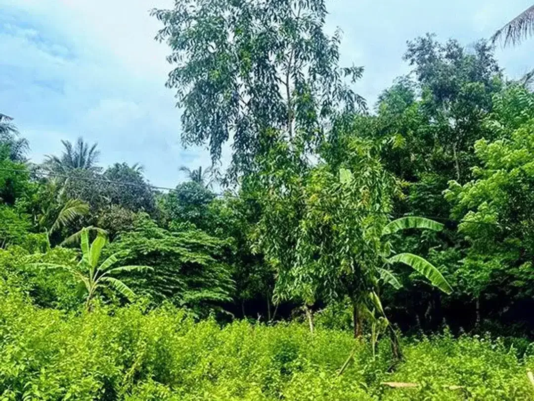 [AMS-018.DKA]  Tanah Premium Dijual Dekat Virgin Beach Bukit Asah Karangasem – Akses Langsung Pantai - Image 8 of 10
