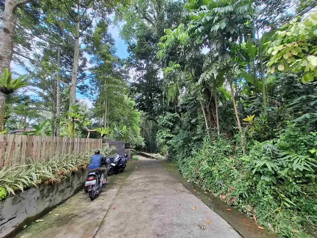 tanah luasan kecil kontur datar depan villa pribadi di penebel tabanan - Image 3 of 7