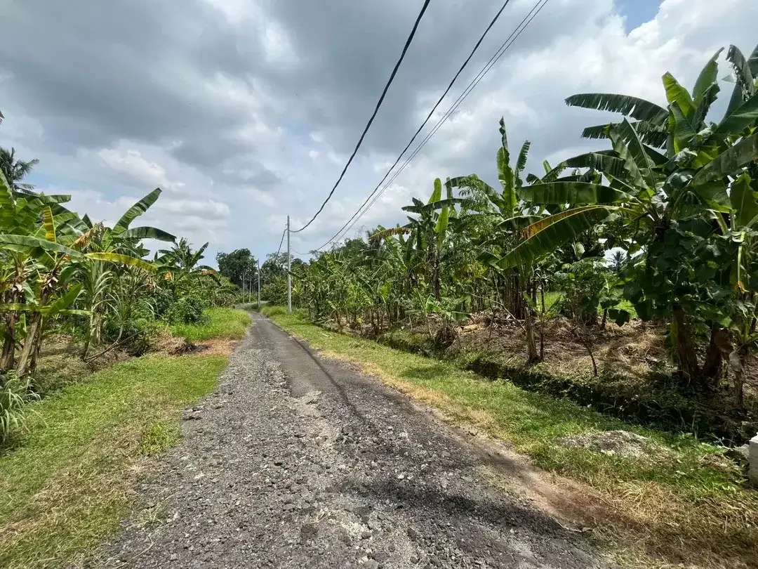 Dijual Tanah lingkungan tenang aman dan nyaman View Sawah dekat dengan kota Tabanan, sangat cocok untuk di bangun rumah,villa, maupun investasi. - Image 6 of 8