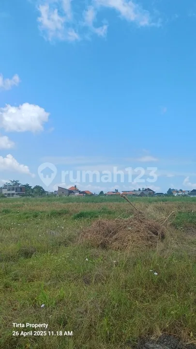 Tanah Dekat Pantai Kedungu Shm 850.0 MÂ² - Image 2 of 4