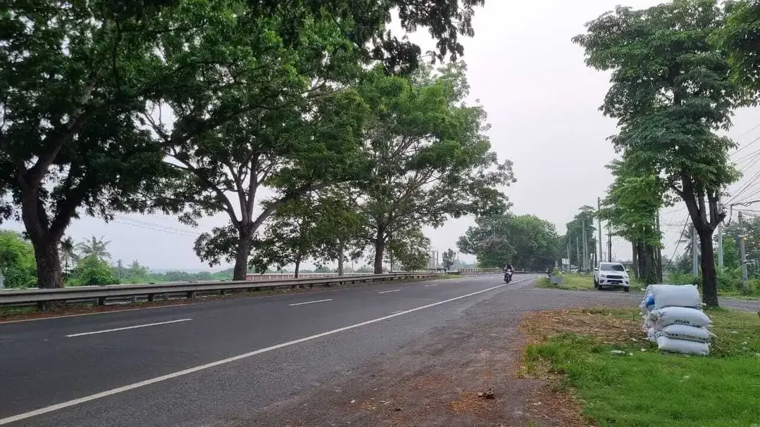 Tanah Murah Di Jalan Utama Bypass Ida Bagus Mantra Lebih Gianyar - Image 7 of 10