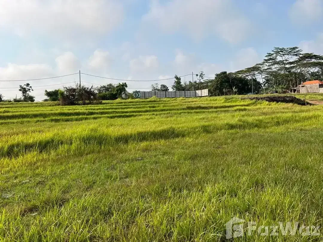 Land for sale in Cemagi, Bali - Image 5 of 7