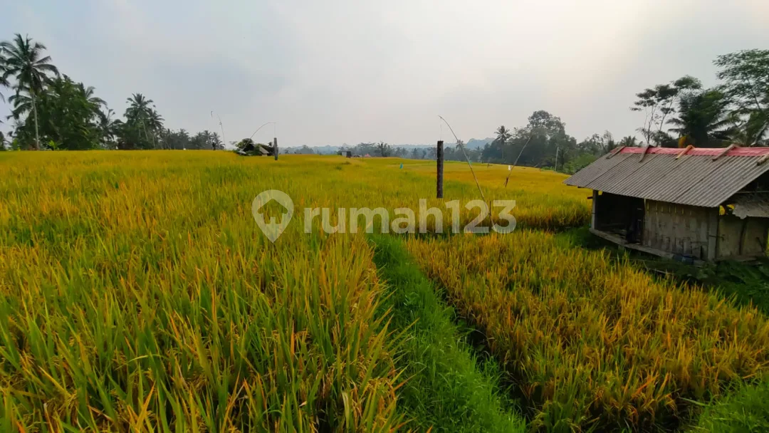 Dijual Tanah View Cantik Cocok Untuk Hotel Villa Dan Resort - Image 2 of 4