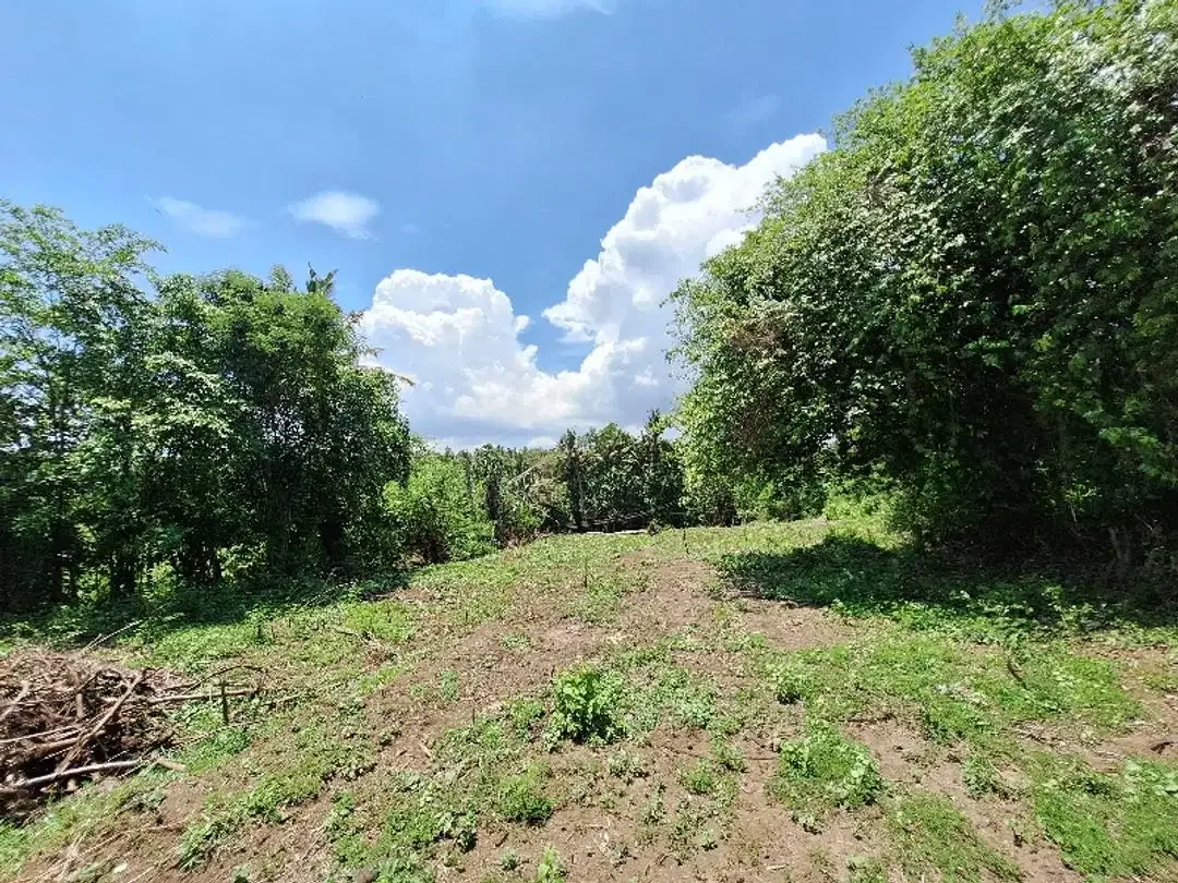 Tanah Disewakan atau Dijual  Dekat Pantai di Permata Pering - Saba - Image 9 of 10
