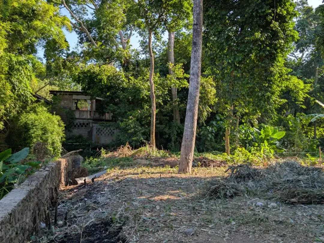 Leasehold - Riverside Land with Mature Trees & Ready Infrastructure in Canggu, Bali - Image 7 of 10