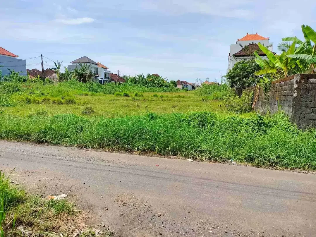 Tanah Cempaka Putih Dauh Peken Tabanan - Image 4 of 4