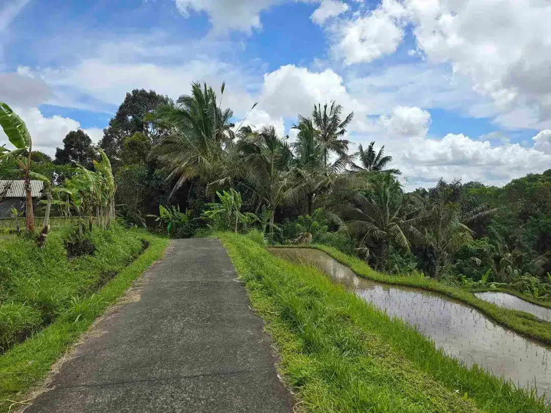 dijual tanah kebun dan sawah view cantik di penebel tabanan bali - Image 5 of 10