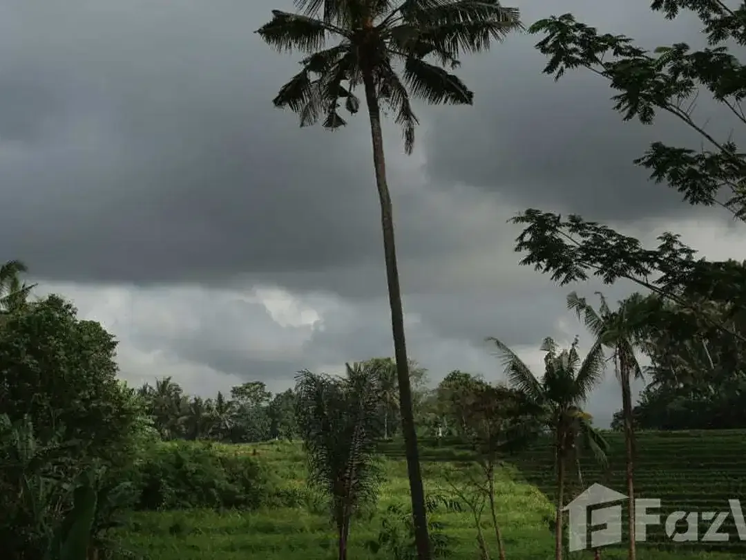 4 Bedroom House for sale in Kediri, Bali - Image 7 of 10