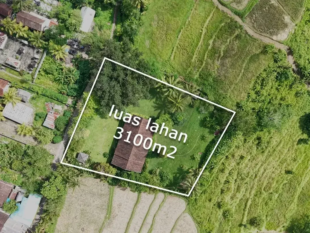Dijual Tanah Bonus Rumah, Tanah dengan Pemandangan Sawah & Gunung di Tegallalang Ubud - Image 2 of 7