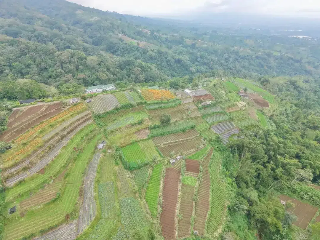 Tanah view pegunungan bedugul - Image 10 of 10