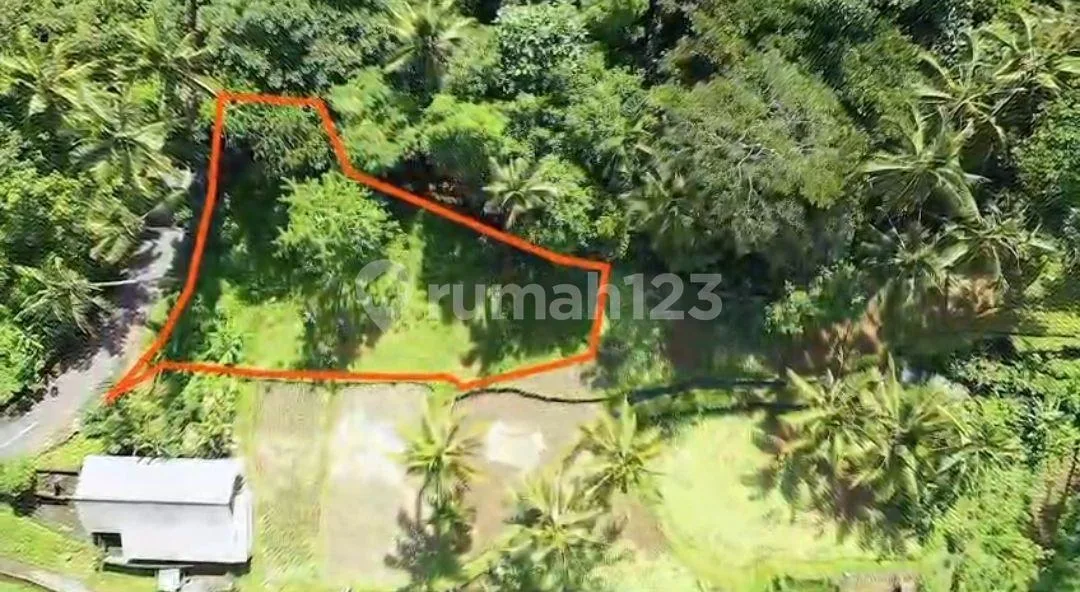 Tanah Murah Los Sungai Zona Kenderan Tegalalang Ubud Bali - Image 4 of 4