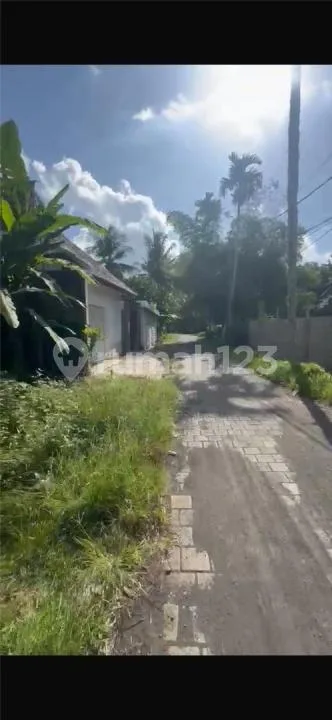 Tanah Murah View Sawah Abadi Mas Ubud Zona Kuning - Image 4 of 4