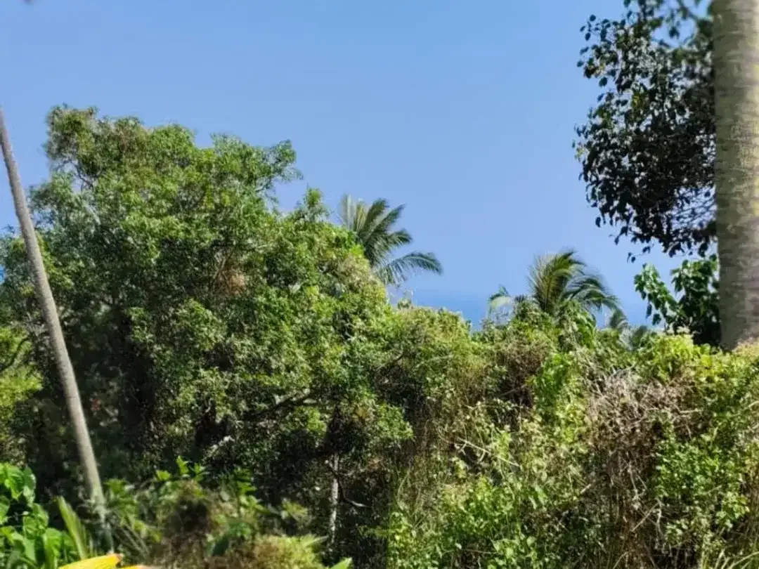 DIJUAL TANAH LUAS – BALIAN BEACH, TABANAN - Image 4 of 10