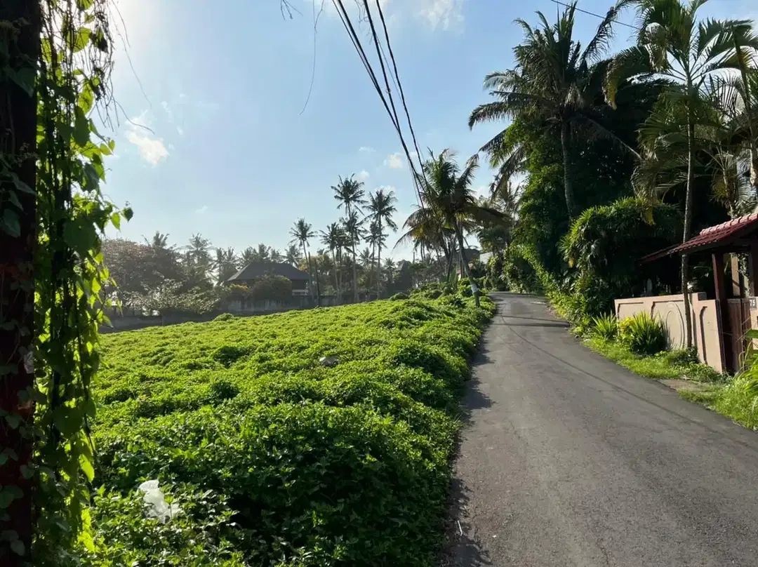DIJUAL TANAH PREMIUM BEACHFRONT DI TABANAN - Image 8 of 10