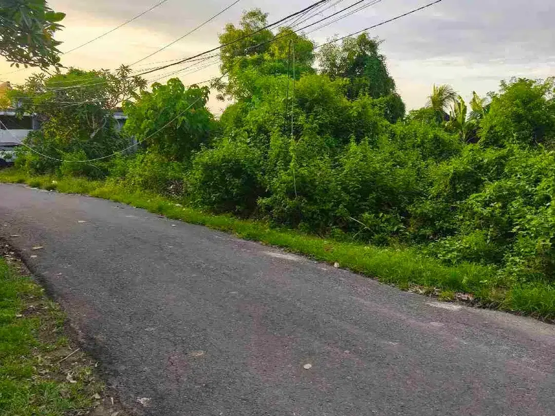 dijual tanah 12,31 are IDR 550 juta per are dekat pantai Balangan Jimbaran Kuta Selatan Badung Bali - Image 3 of 10