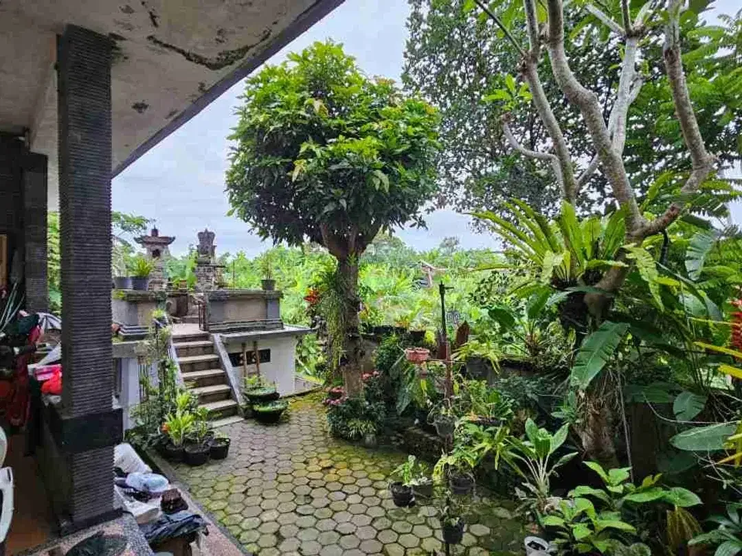 Rumah Pemandangan Sawah Asri Siap Huni - Image 9 of 10