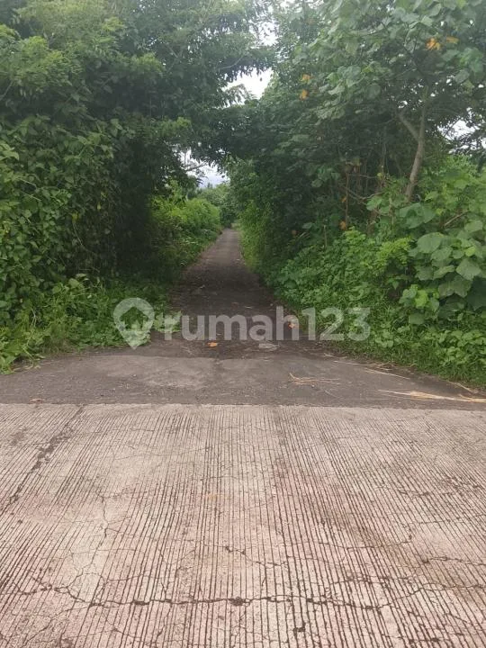 Tanah Los Pantai Strategis Luas di Negara, Jembrana - Image 4 of 4