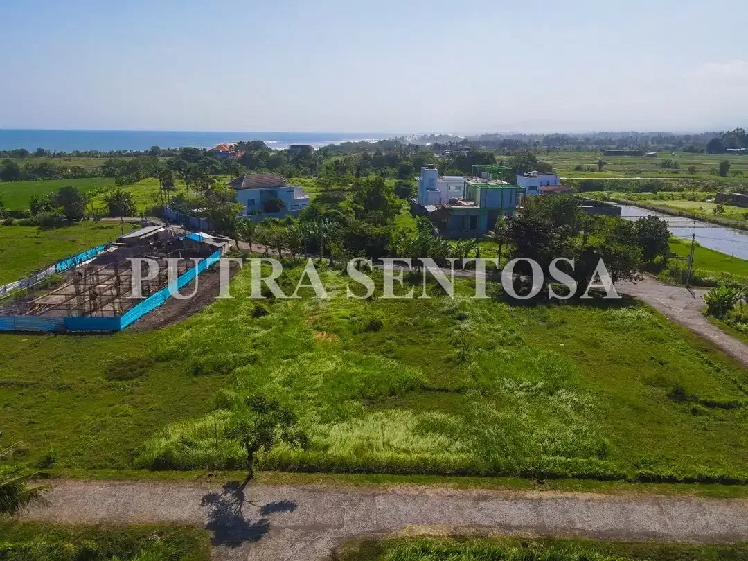 TANAH PREMIUM KEDUNGU VIEW SAWAH DEKAT KE PANTAI - Image 3 of 7