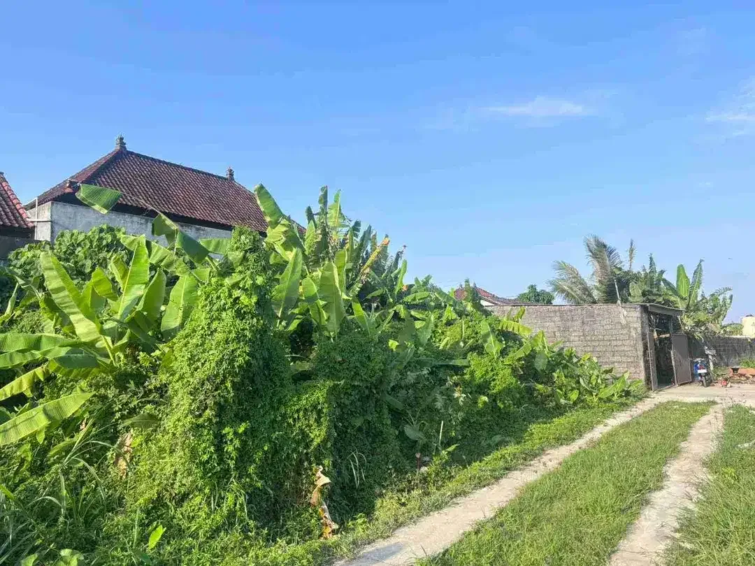 dijual Tanah Plot kecil sangat langka dengan view sawah di Ketewel, Sukawati. - Image 2 of 10
