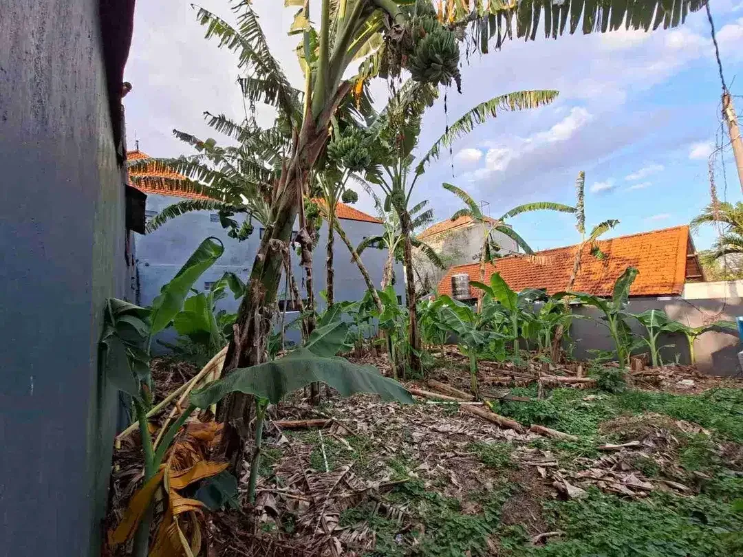 Jual Tanah Luas 1.8are/180m² Lokasi Premium Gang, Jalak Berawa Canggu area Investasi.yt - Image 3 of 6