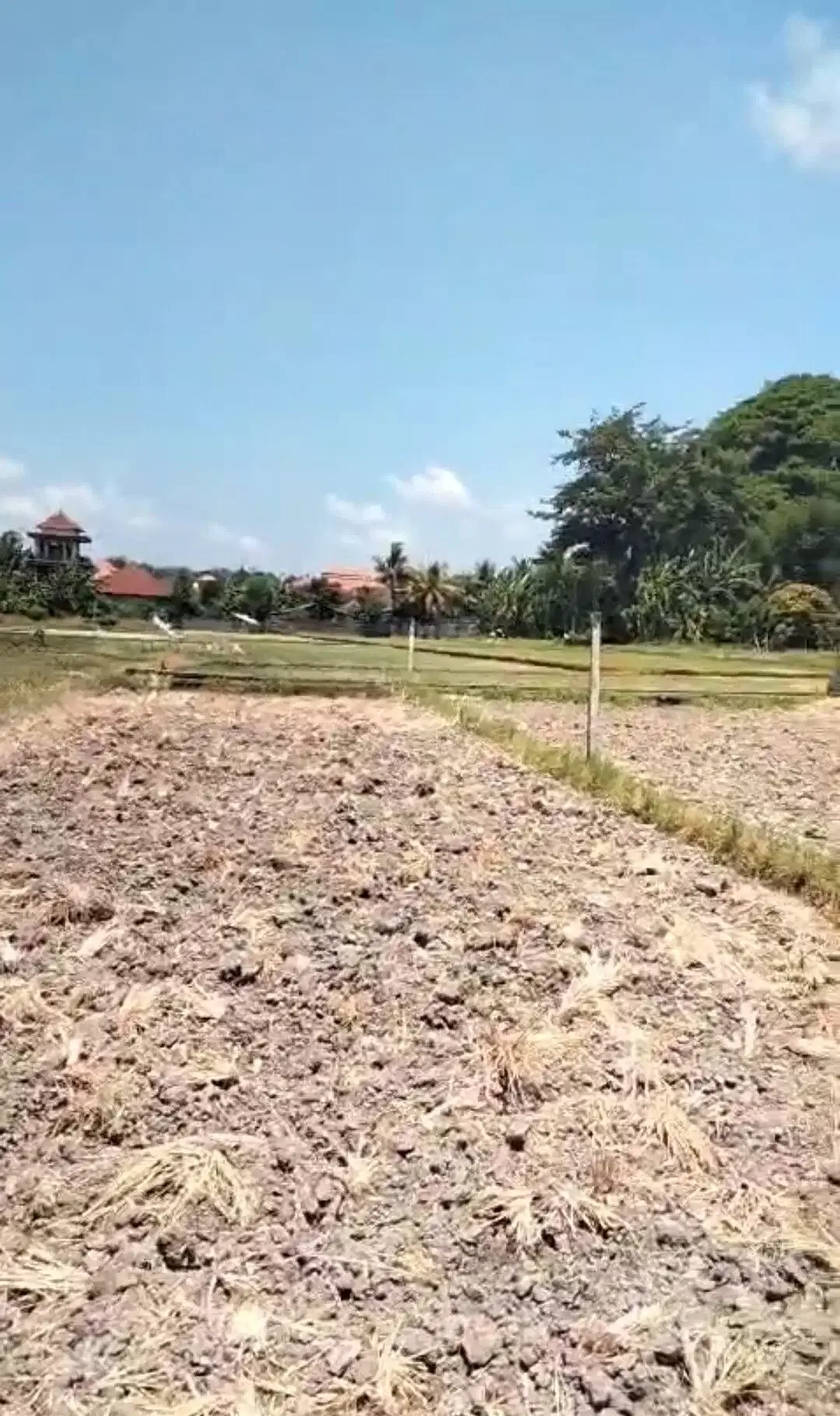 BUC 5 are View Pantai dan sawah di Lebih Gianyar Bali - Image 3 of 6