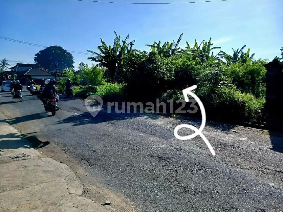 Tanah Murah Strategis Pinggir Jalan Raya Cekomaria Denpasar - Image 4 of 4