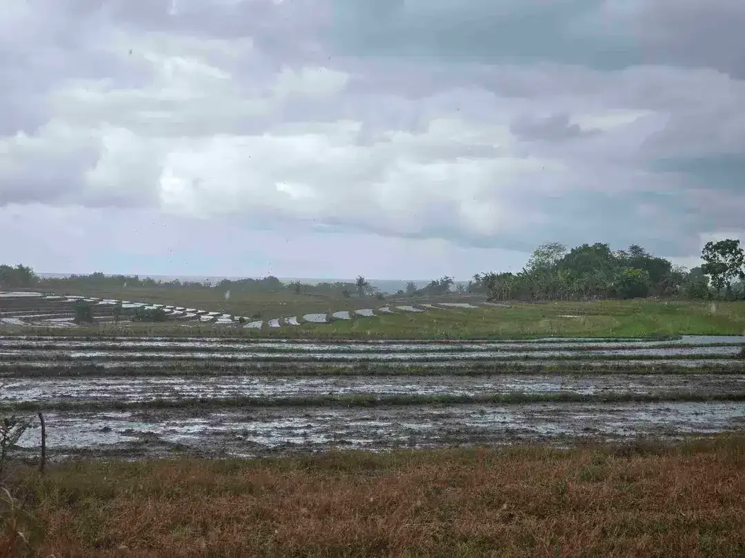 dijual tanah view laut sawah di tabanan bali - Image 10 of 10
