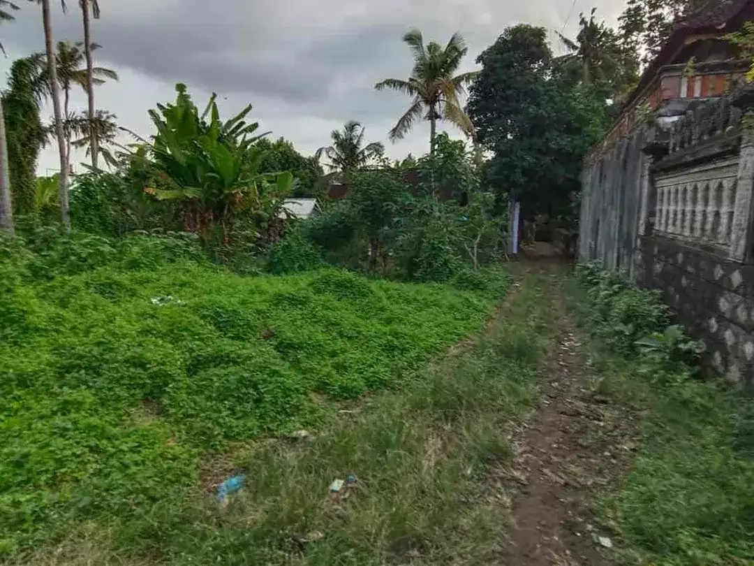 Di Jual Tanah Sukawati kontur tanah datar dekat ubud cocok untuk villa - Image 4 of 6