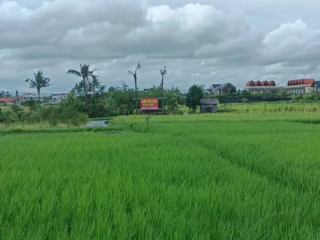 Land for sale in Kediri, Bali - Image 6 of 6
