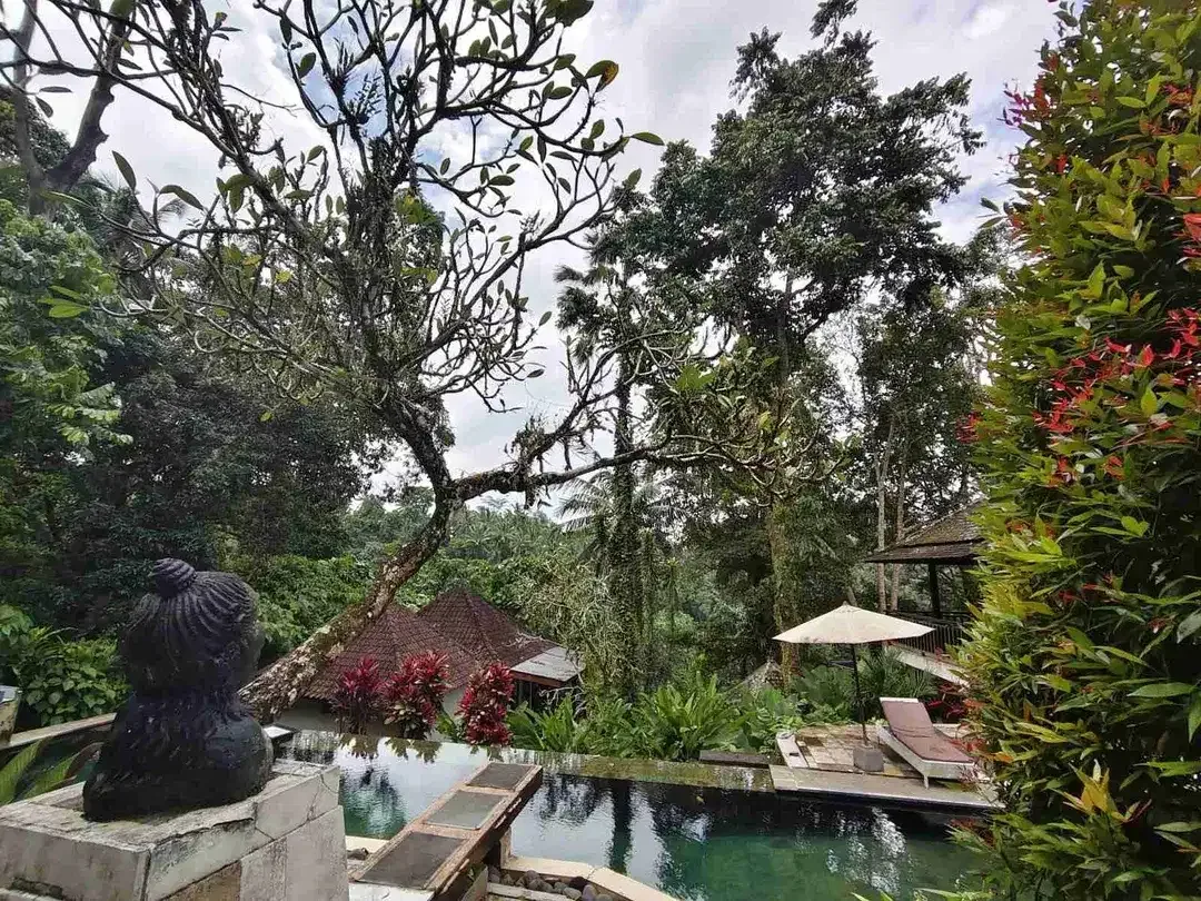 Dijual Cepat Tanah Bonus Bangunan Hotel di Kedewatan Ubud - Image 10 of 10