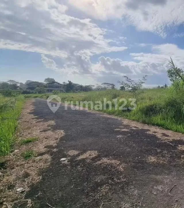Tanah Dekat Pantai di Pererenan Canggu dengan Akses Jalan Aspal - Image 3 of 4