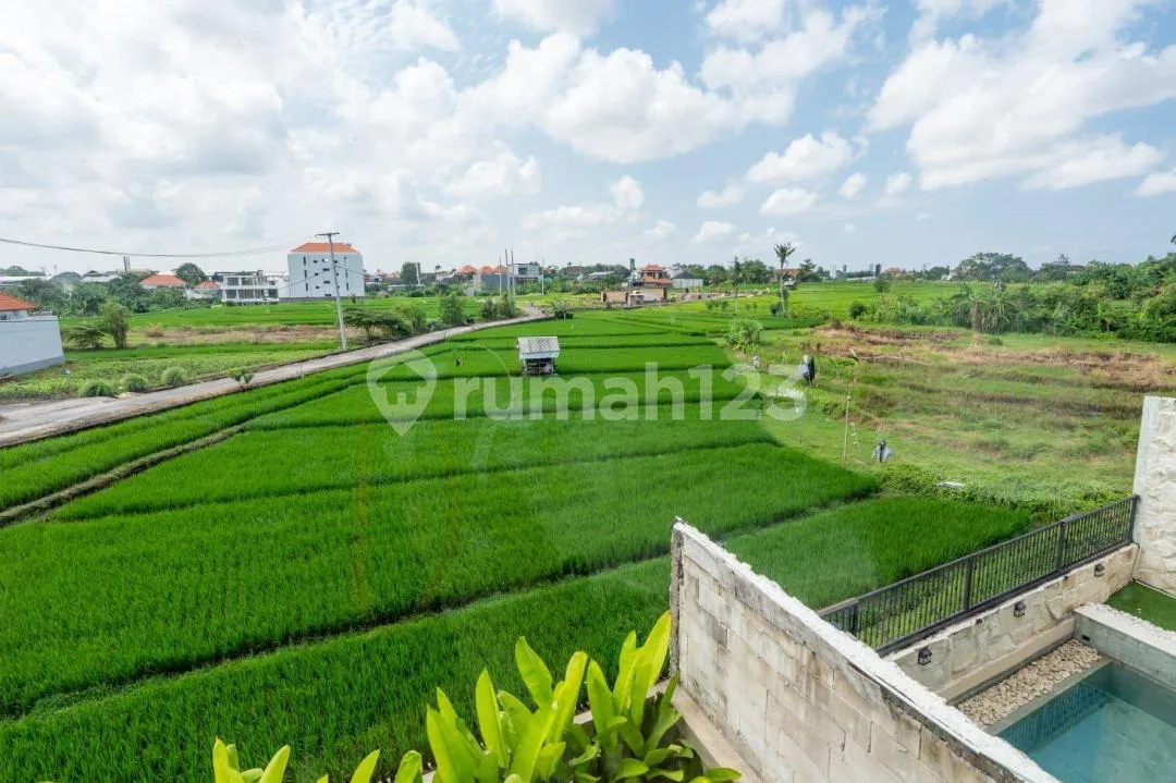 For Rent 3 Bedroom Villa In Berawa Jalan Abasan, Tibu Beneng - Image 4 of 4
