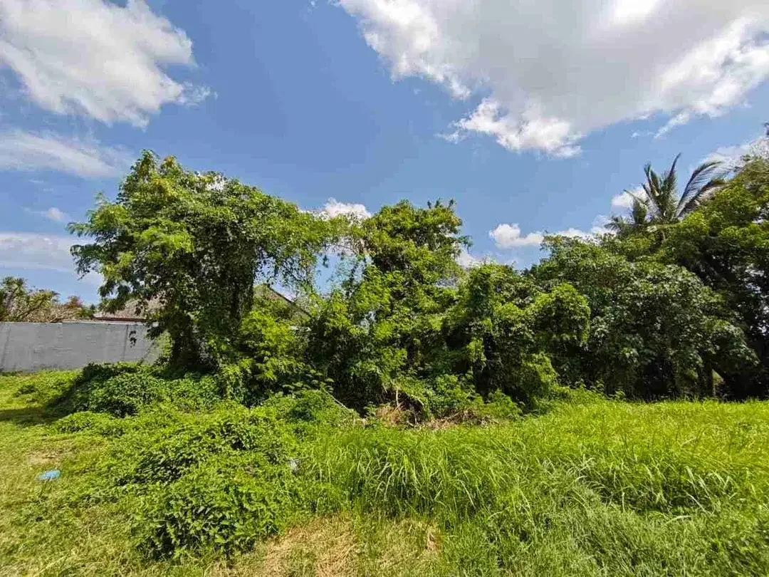 Tanah Pinggir sungai view Abadi - Image 2 of 5