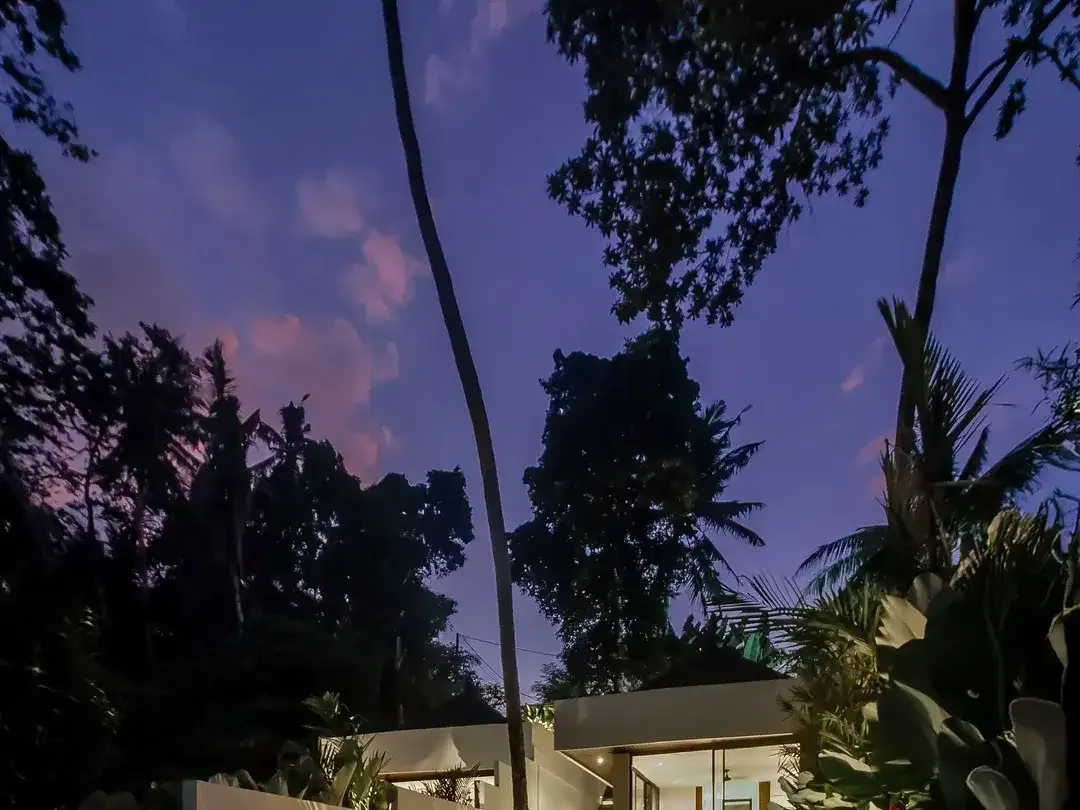 1 Bedroom Villa for sale in Ubud, Bali - Image 5 of 6