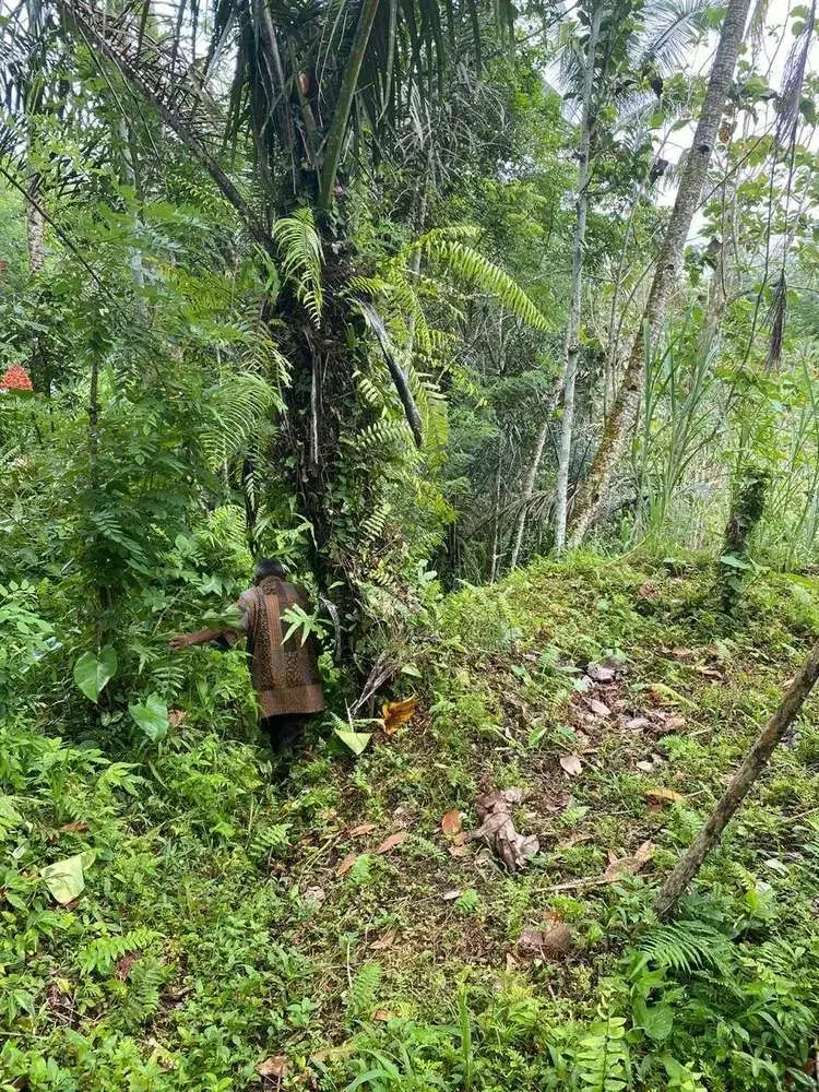 DIJUAL TANAH VIEW LEMBAH SUNGAI DI GIANYAR - Image 8 of 9