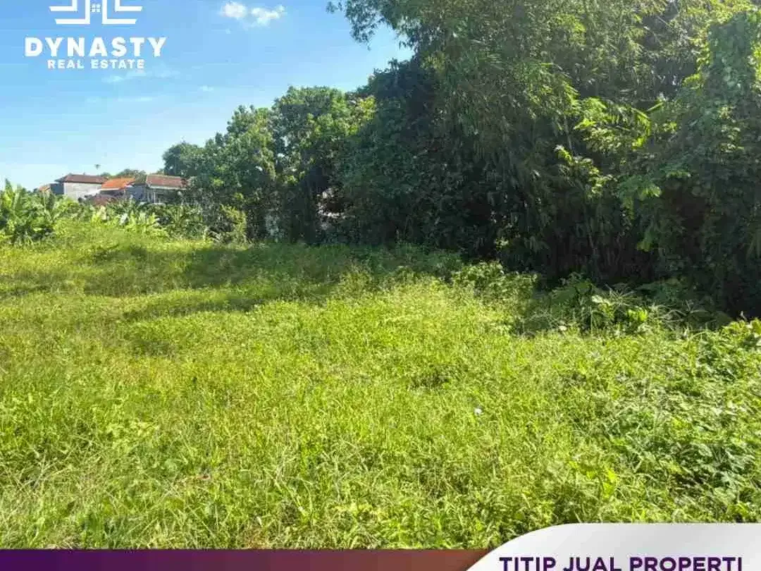 LAND FOR SALE – DALUNG | HARGA MURAH & POTENSIAL INVESTASI - Image 10 of 10