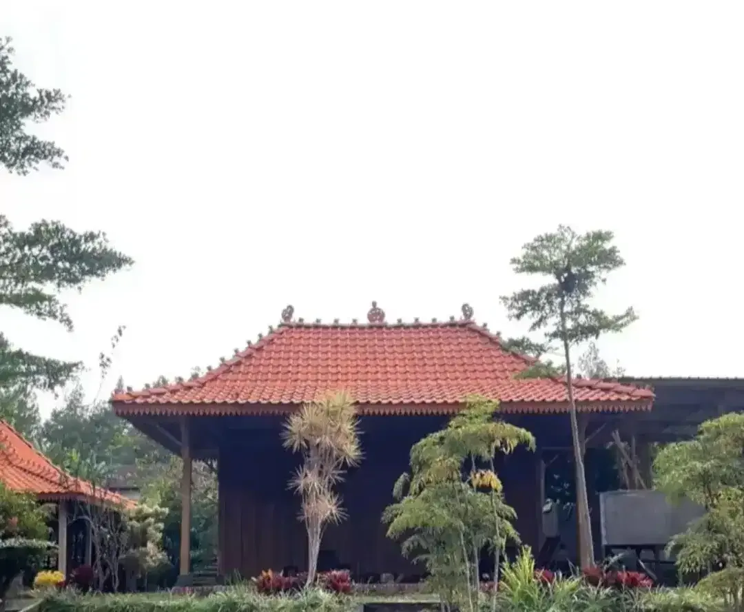 Rumah.Rumah kayu.Rumah Limasan.Rumah klasik - Image 1 of 1