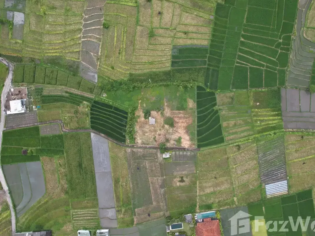 Land for sale in Kediri, Bali - Image 4 of 6