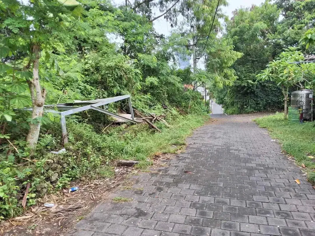 Sebidang tanah dengan luasan 12are berlokasi di kawasan Bali Kencana cocok untuk villa. - Image 2 of 6