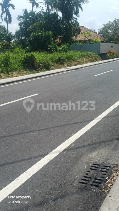 Tanah, 825M2, SHM, Pinggir Jalan Pantai Cemagi, - Image 4 of 4