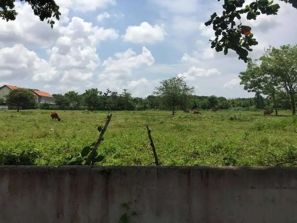 LAHAN LOKASI PINGGIR JALAN UTAMA PANTAI MATAHARI TERBIT SANUR - Image 10 of 10