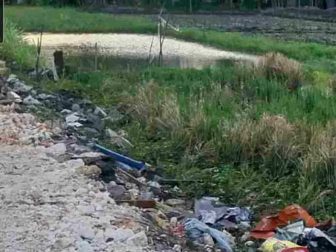 Disewakan Tanah 10a di area Jln Mahendradata Denpasar Barat Bali - Image 6 of 6